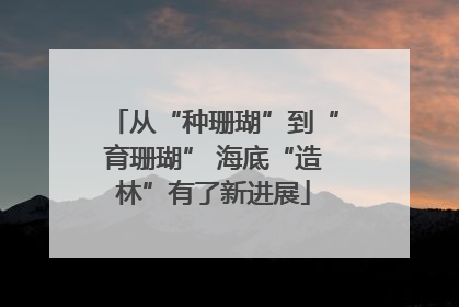 从“种珊瑚”到“育珊瑚” 海底“造林”有了新进展