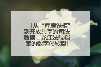 从“库房铁柜”到开放共享的司法数据，龙江法院档案的数字化转型