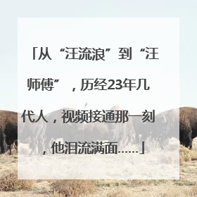 从“汪流浪”到“汪师傅”，历经23年几代人，视频接通那一刻，他泪流满面……