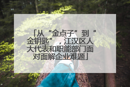 从“金点子”到“金钥匙”，江汉区人大代表和职能部门面对面解企业难题