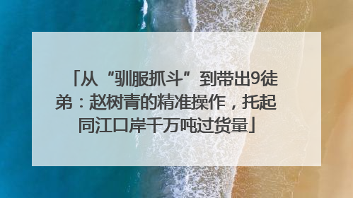 从“驯服抓斗”到带出9徒弟：赵树青的精准操作，托起同江口岸千万吨过货量