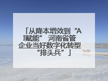 从降本增效到“AI赋能” 河南省管企业当好数字化转型“排头兵”
