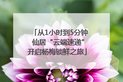 从1小时到5分钟 仙居“云端速递”开启杨梅锁鲜之旅