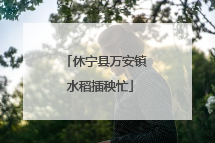 休宁县万安镇水稻插秧忙