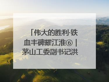 伟大的胜利·铁血丰碑耀江淮⑥｜茅山工委副书记洪天诚的亲笔信