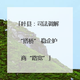 叶县：司法调解“搭桥” 稳企护商“路宽”