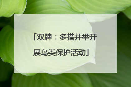 双牌：多措并举开展鸟类保护活动