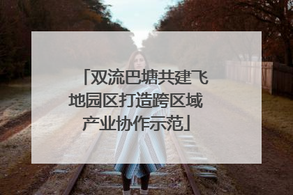 双流巴塘共建飞地园区打造跨区域产业协作示范
