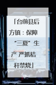 台前县后方镇：保障“三夏”生产 严抓秸秆禁烧