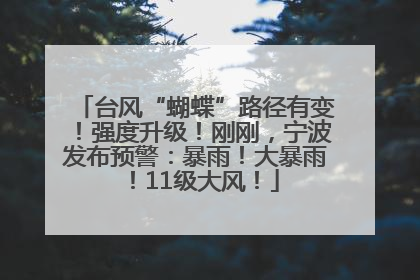 台风“蝴蝶”路径有变！强度升级！刚刚，宁波发布预警：暴雨！大暴雨！11级大风！