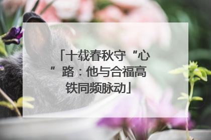 十载春秋守“心”路：他与合福高铁同频脉动