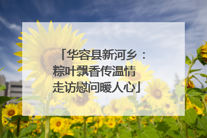华容县新河乡：粽叶飘香传温情 走访慰问暖人心