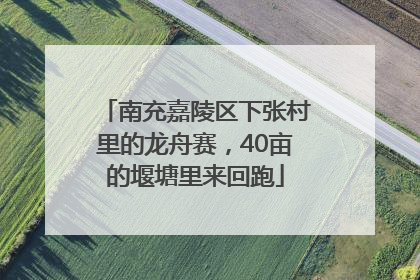 南充嘉陵区下张村里的龙舟赛，40亩的堰塘里来回跑