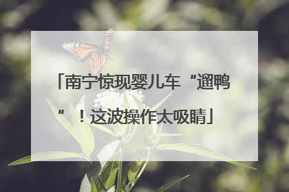 南宁惊现婴儿车“遛鸭”！这波操作太吸睛