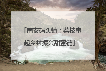 南安码头镇：荔枝串起乡村振兴甜蜜链