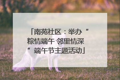 南苑社区：举办“粽情端午 邻里情深”端午节主题活动