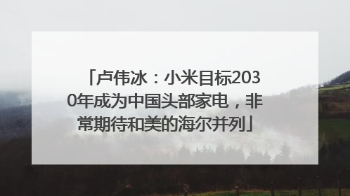 卢伟冰：小米目标2030年成为中国头部家电，非常期待和美的海尔并列