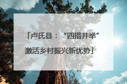 卢氏县：“四措并举”激活乡村振兴新优势