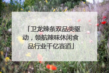 卫龙辣条双品类驱动，领航辣味休闲食品行业千亿赛道