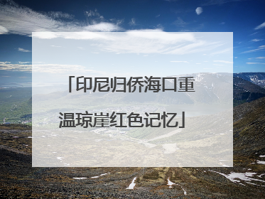 印尼归侨海口重温琼崖红色记忆