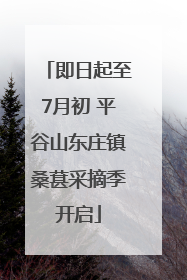 即日起至7月初 平谷山东庄镇桑葚采摘季开启