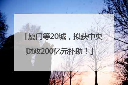 厦门等20城，拟获中央财政200亿元补助！