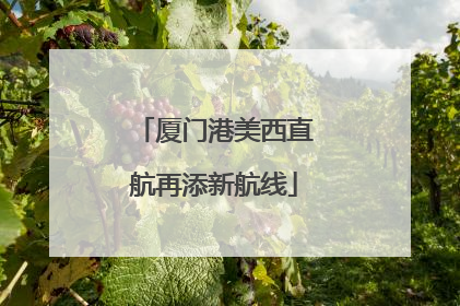 厦门港美西直航再添新航线
