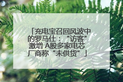充电宝召回风波中的罗马仕：“访客”激增 A股多家电芯厂商称“未供货”