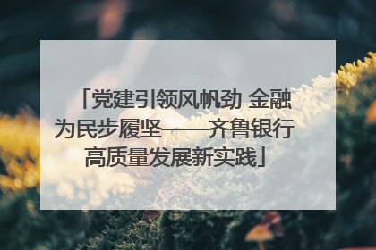 党建引领风帆劲 金融为民步履坚——齐鲁银行高质量发展新实践