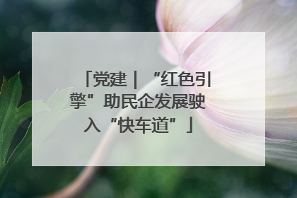 党建｜“红色引擎”助民企发展驶入“快车道”