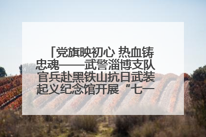 党旗映初心 热血铸忠魂——武警淄博支队官兵赴黑铁山抗日武装起义纪念馆开展“七一”主题党日活动