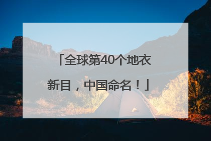 全球第40个地衣新目，中国命名！