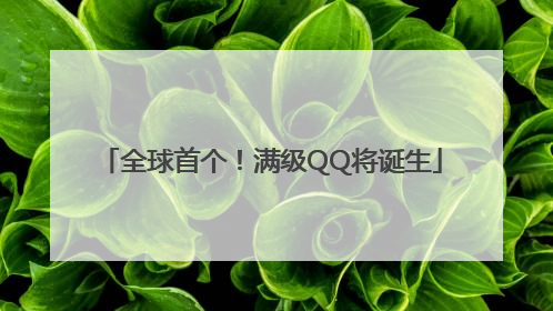 全球首个！满级QQ将诞生