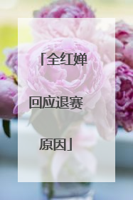 全红婵回应退赛原因