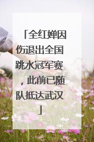全红婵因伤退出全国跳水冠军赛，此前已随队抵达武汉