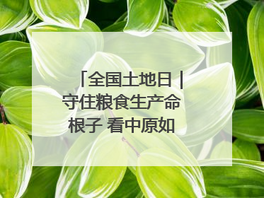全国土地日｜守住粮食生产命根子 看中原如何“耕”新