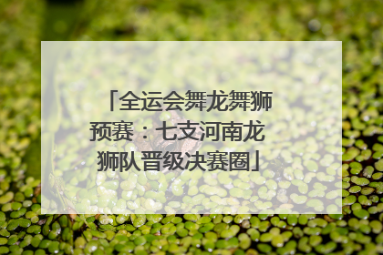 全运会舞龙舞狮预赛：七支河南龙狮队晋级决赛圈