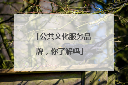 公共文化服务品牌，你了解吗