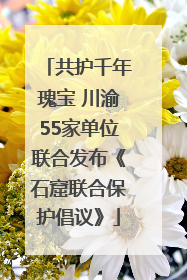 共护千年瑰宝 川渝55家单位联合发布《石窟联合保护倡议》