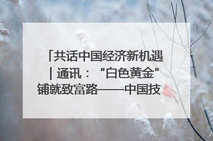 共话中国经济新机遇｜通讯：“白色黄金”铺就致富路——中国技术助力科特迪瓦橡胶产业增产增效