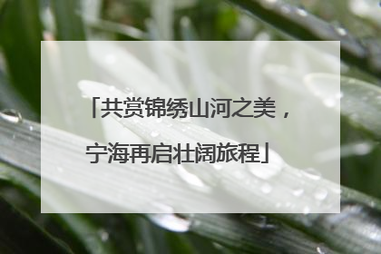共赏锦绣山河之美，宁海再启壮阔旅程