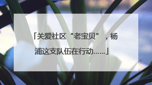关爱社区“老宝贝”，杨浦这支队伍在行动……