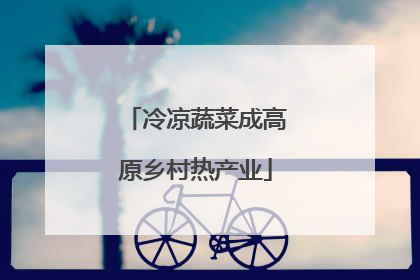 冷凉蔬菜成高原乡村热产业