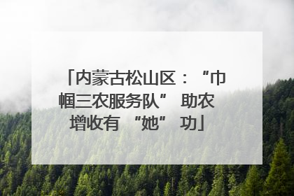 内蒙古松山区：“巾帼三农服务队” 助农增收有 “她” 功
