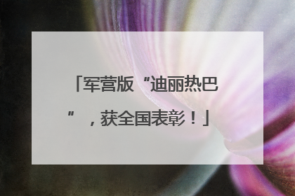 军营版“迪丽热巴”，获全国表彰！