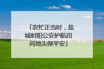 农忙正当时，盐城射阳公安护航田间地头保平安