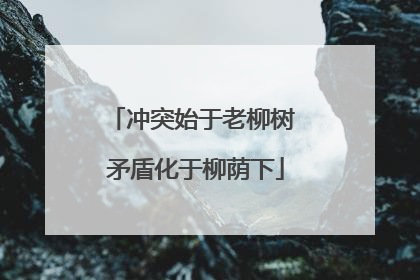 冲突始于老柳树 矛盾化于柳荫下