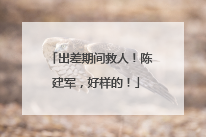 出差期间救人！陈建军，好样的！