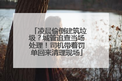 凌晨偷倒建筑垃圾？城管追查当场处理！司机带着罚单回来清理现场