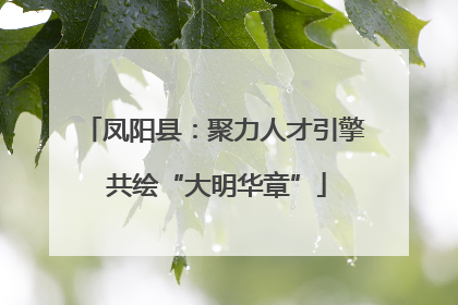 凤阳县：聚力人才引擎 共绘“大明华章”